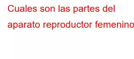 Cuales son las partes del aparato reproductor femenino؟