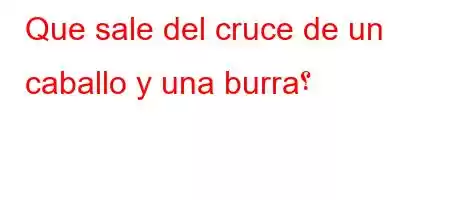 Que sale del cruce de un caballo y una burra؟