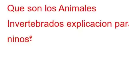 Que son los Animales Invertebrados explicacion para ninos؟