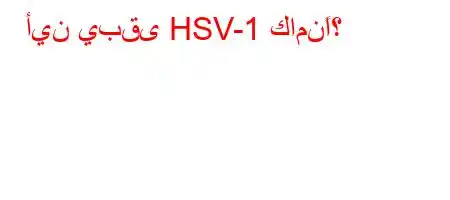 أين يبقى HSV-1 كامنًا؟