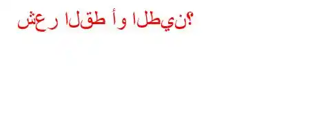 شعر القط أو الطين؟