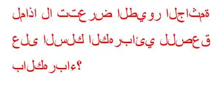 لماذا لا تتعرض الطيور الجاثمة على السلك الكهربائي للصعق بالكهرباء؟