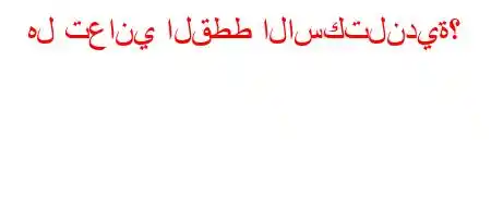 هل تعاني القطط الاسكتلندية؟