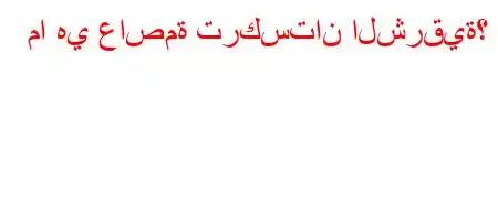 ما هي عاصمة تركستان الشرقية؟