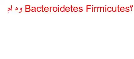 ما هو Bacteroidetes Firmicutes؟