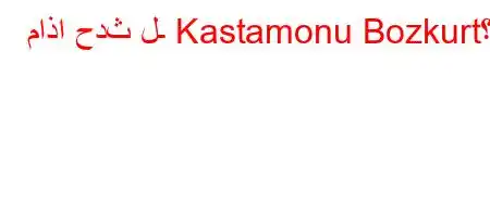 ماذا حدث لـ Kastamonu Bozkurt؟