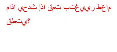 ماذا يحدث إذا قمت بتغيير طعام قطتي؟